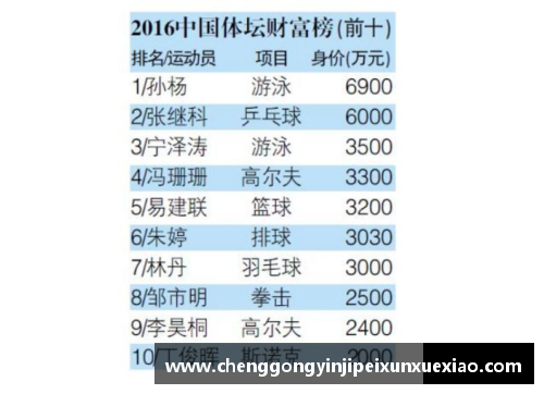 体育明星高收入背后的社会现象与影响分析