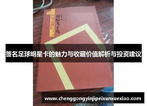 签名足球明星卡的魅力与收藏价值解析与投资建议