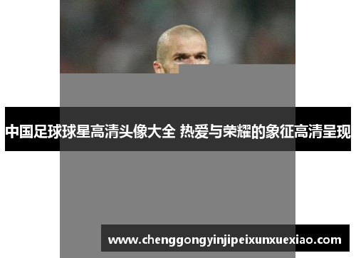 中国足球球星高清头像大全 热爱与荣耀的象征高清呈现