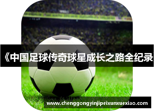 《中国足球传奇球星成长之路全纪录》