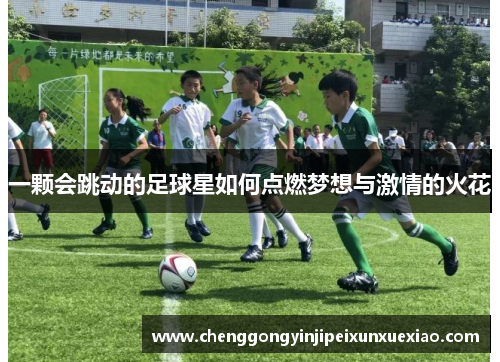 一颗会跳动的足球星如何点燃梦想与激情的火花