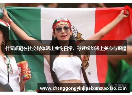什琴斯尼在社交媒体晒出养伤日常，球迷纷纷送上关心与祝福
