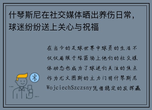 什琴斯尼在社交媒体晒出养伤日常，球迷纷纷送上关心与祝福